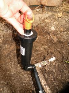 LA sprinkler repair tech installs pop up