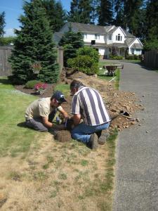 Los Angeles irrigation contractors install a new sprinkler system