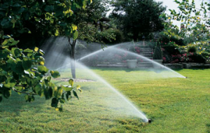 a newly installed residential sprinkler system
